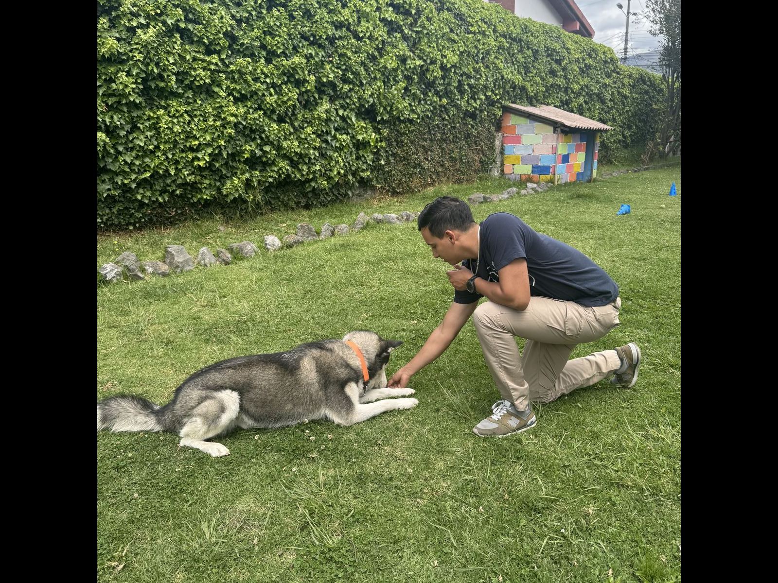 Entrenador jugando con grupo de perritos en guardería